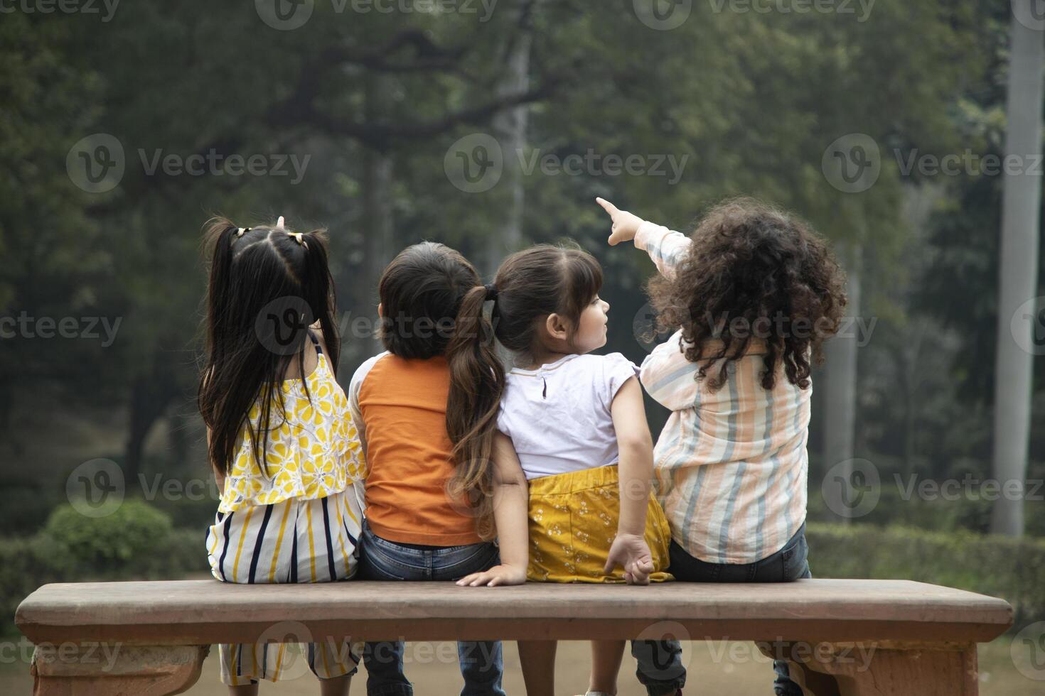Back View Of Group Of Friends Enjoying In Nature photo