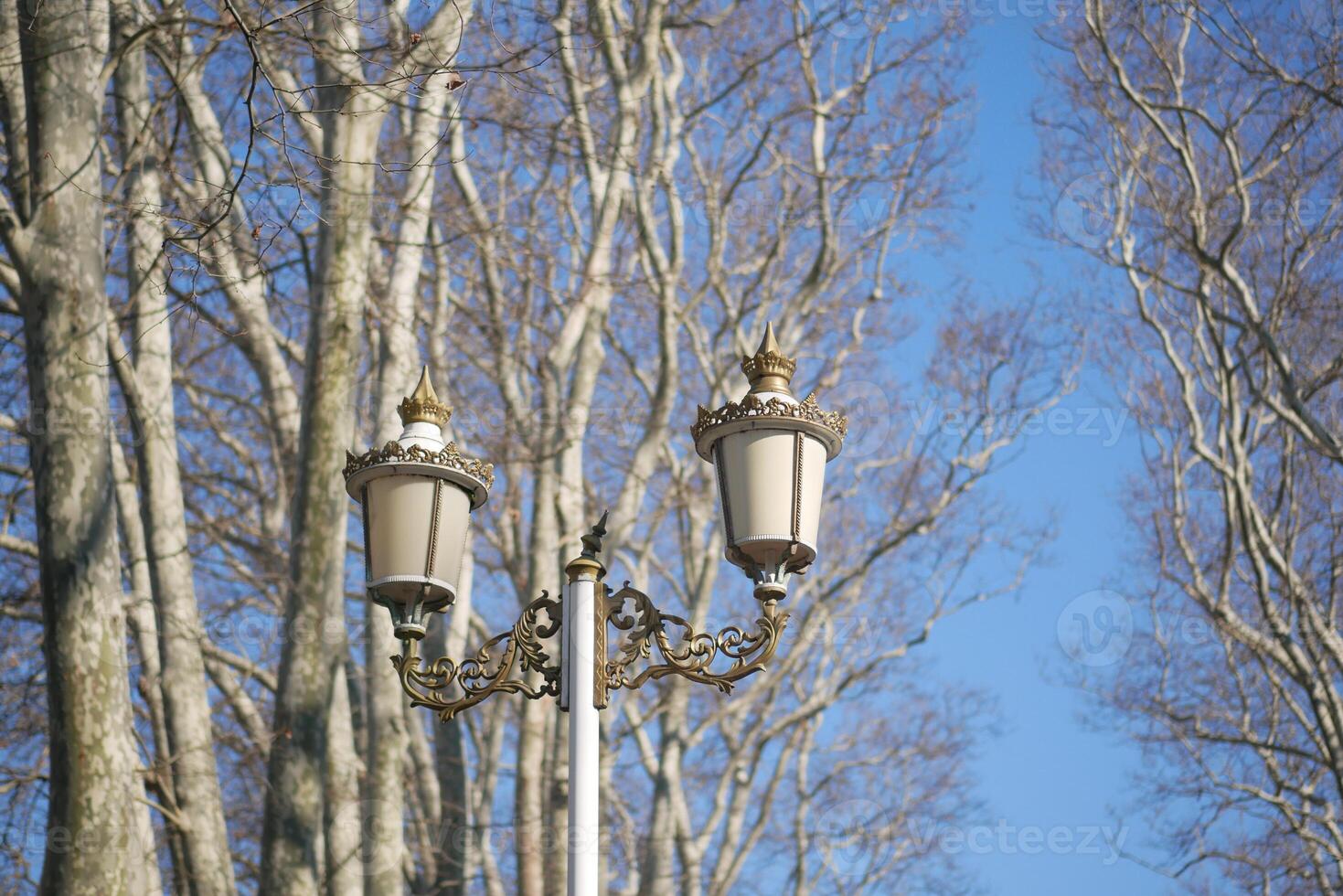 Elegant street lamp among tall trees in a clear blue sky photo