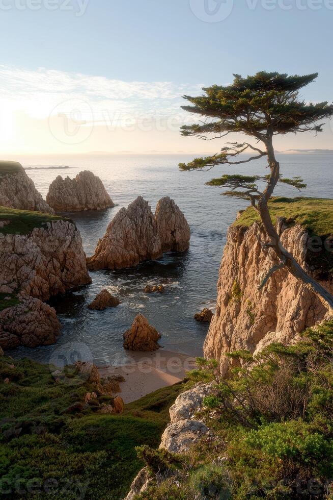 Scenic view of a rocky coastline with a lone tree photo