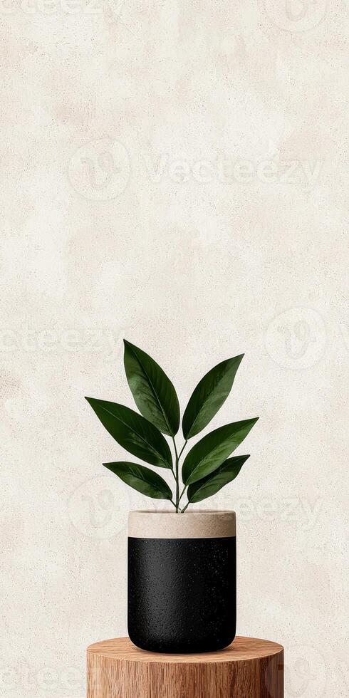 Green plant in a pot on a wooden surface against a textured wall photo