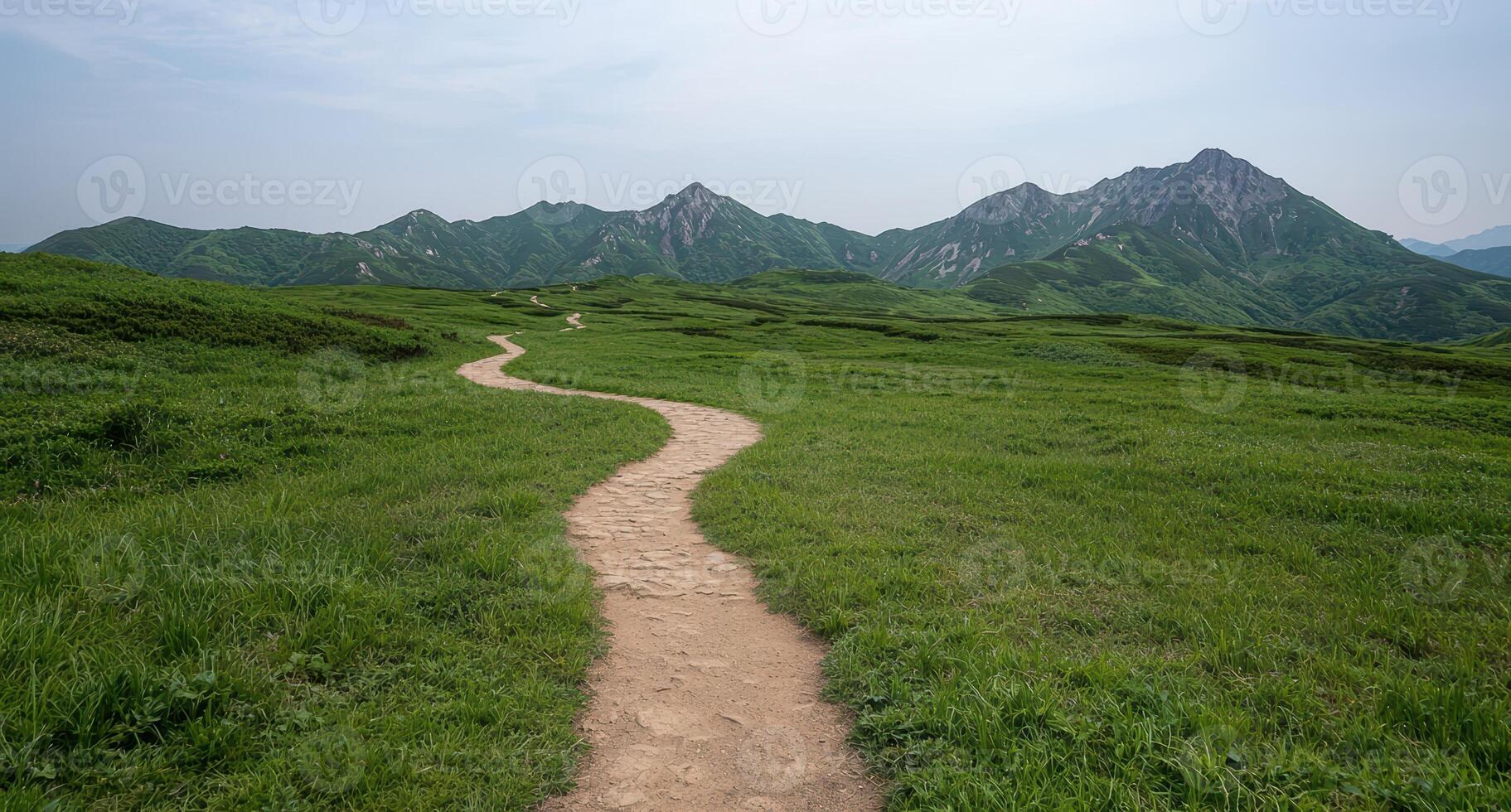 A winding path leads through a green meadow towards distant mountains photo