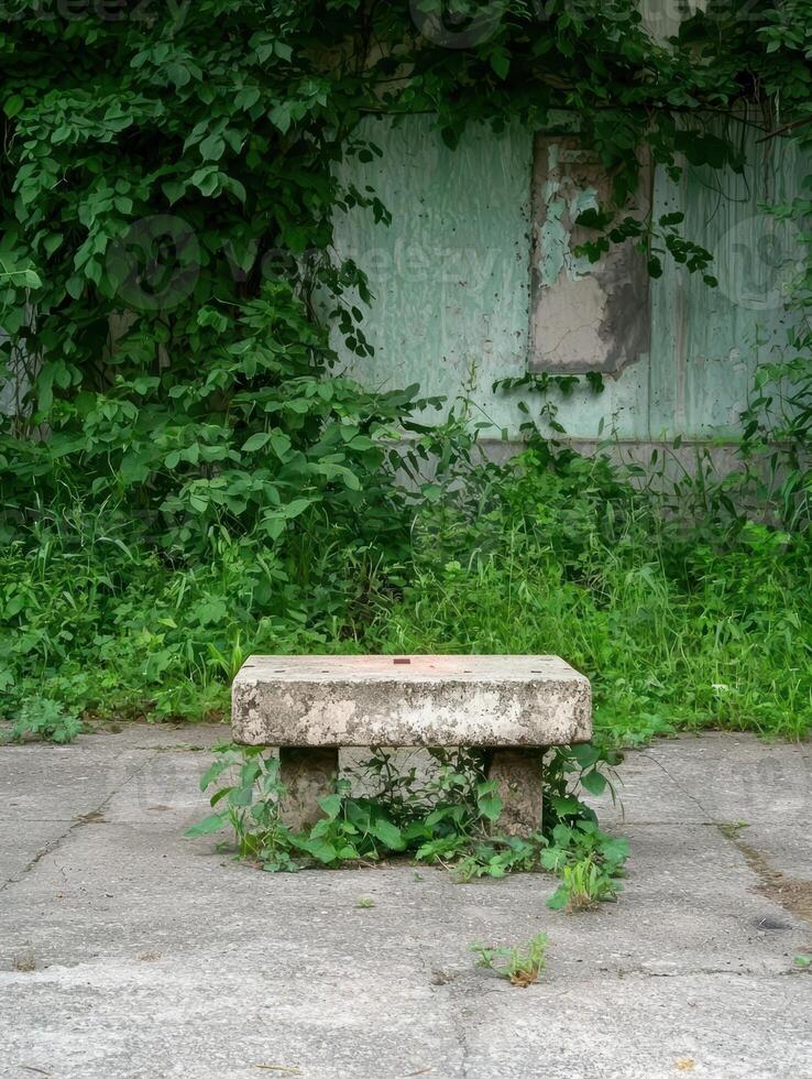 An old concrete bench surrounded by overgrown greenery photo