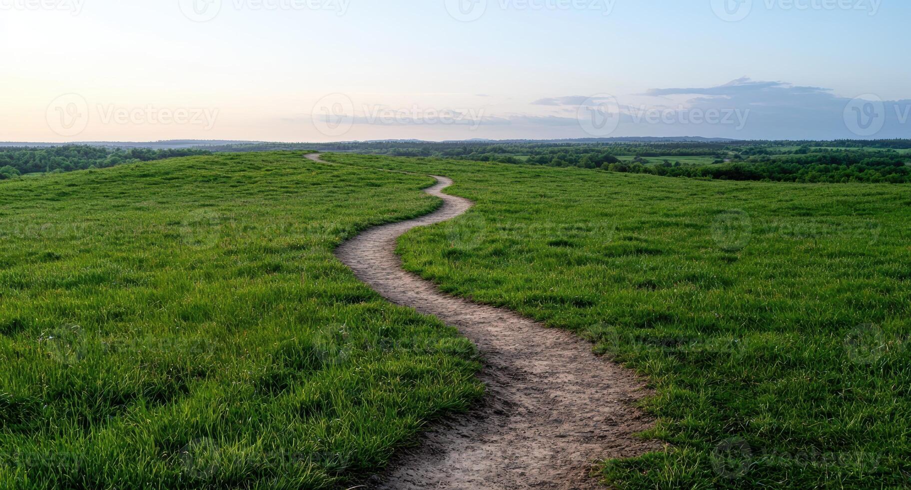 A winding path through a green meadow landscape photo