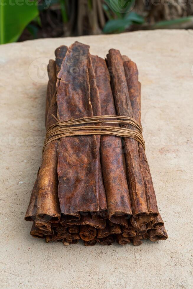 A bundle of cinnamon sticks tied together with string photo