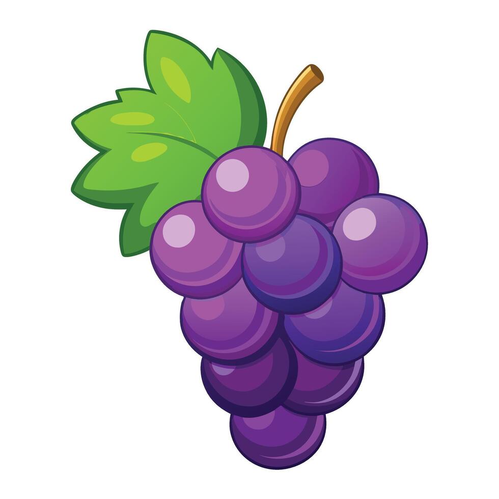 Cartoon Style Purple Grapes With Leaf vector