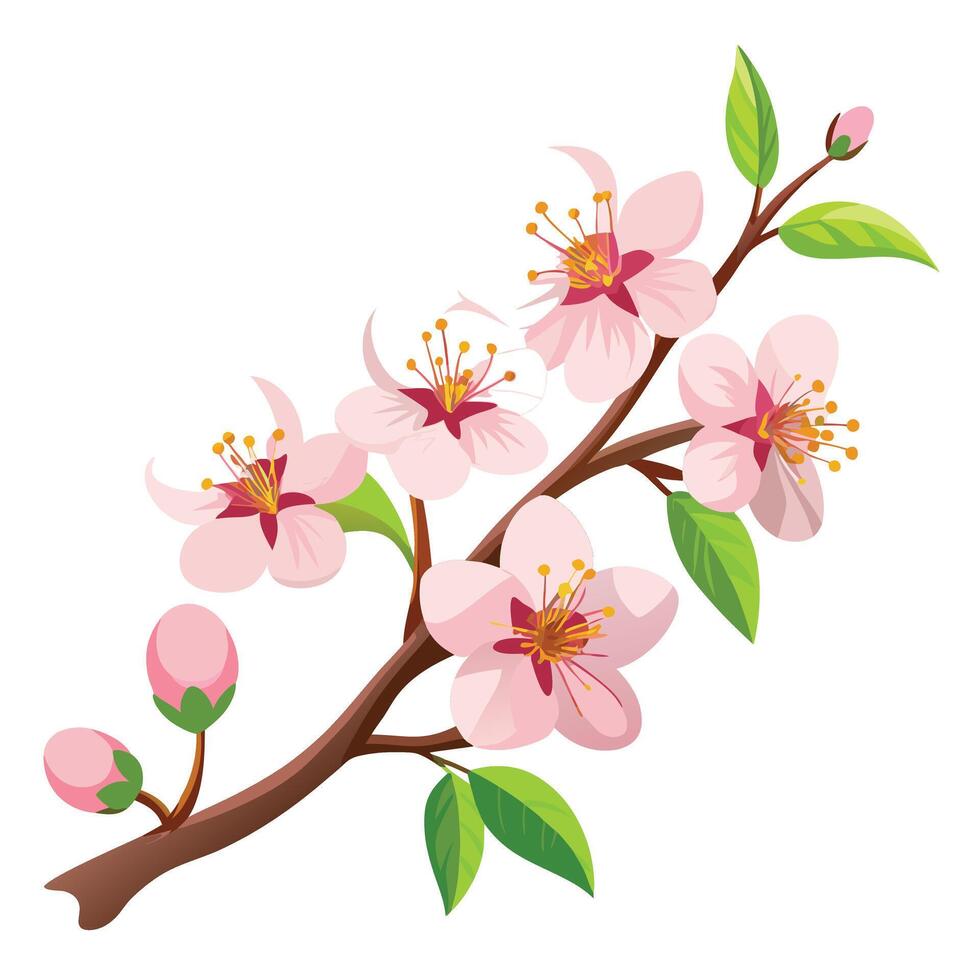 Blooming Cherry Branch Floral Illustration vector