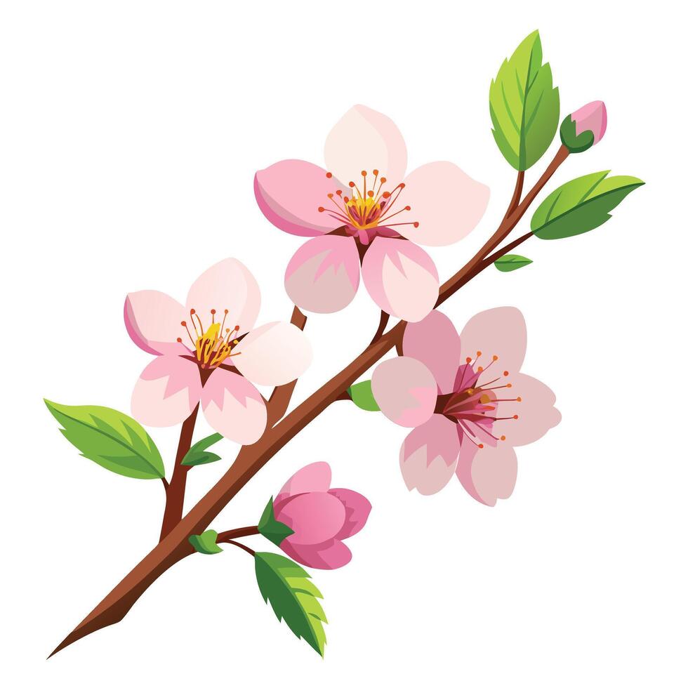 Blooming Cherry Blossom Branch Graphic vector