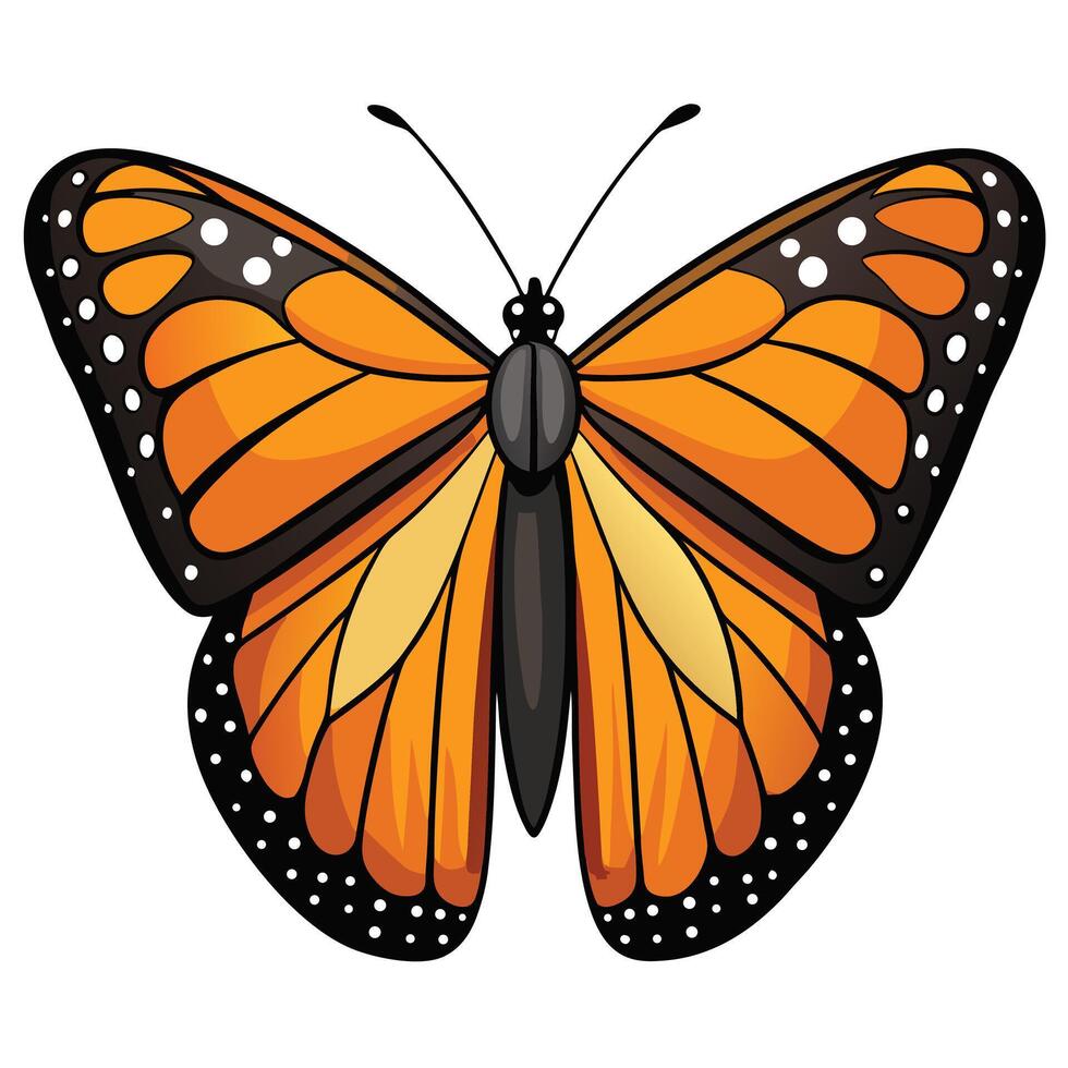 Monarch Butterfly Isolated On White Background vector