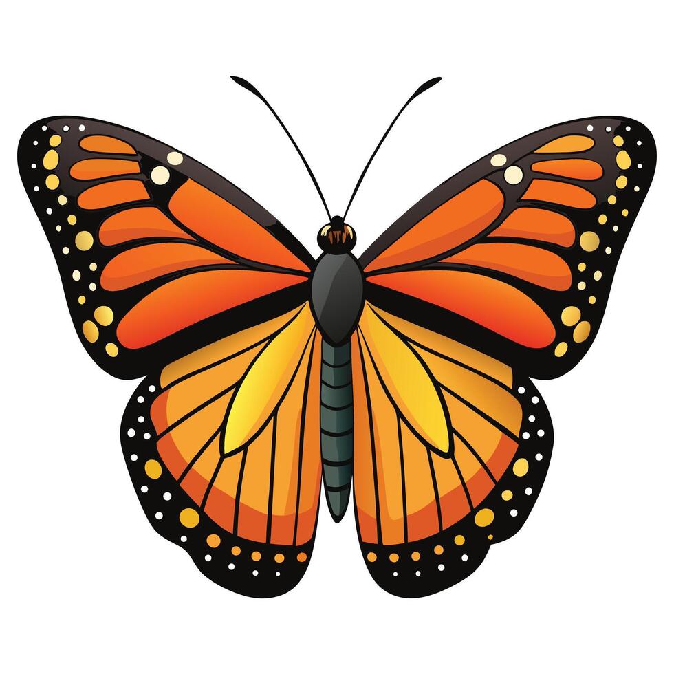 Vivid Orange Monarch Butterfly Isolated Illustration vector