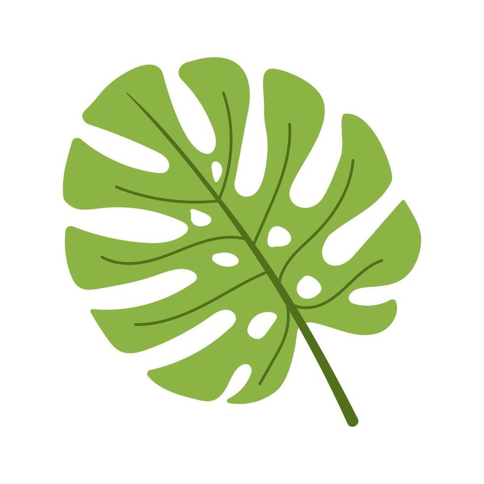 A green leaf with a white background. The leaf is large and has a lot of detail. It looks like a palm leaf vector