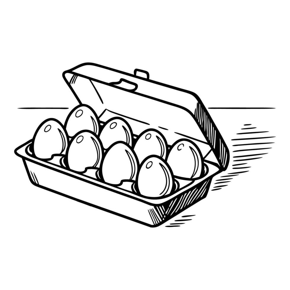 An illustration of eggs in a box vector
