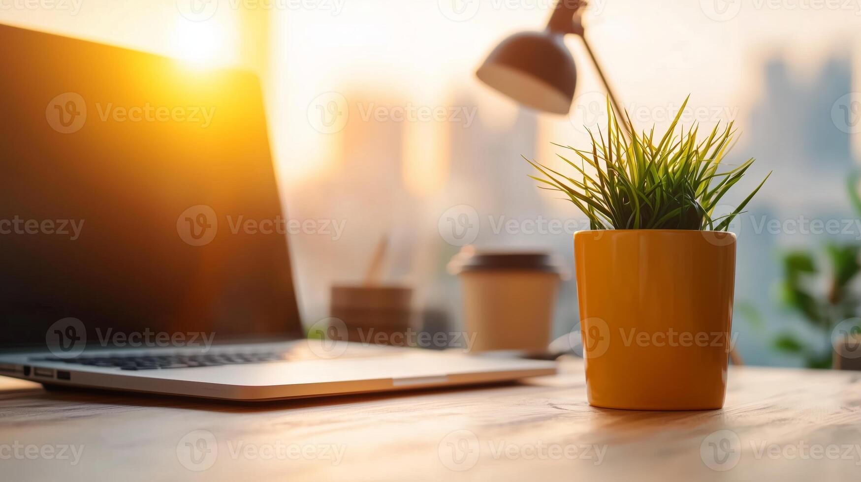 Professional Setup Empty Area photo