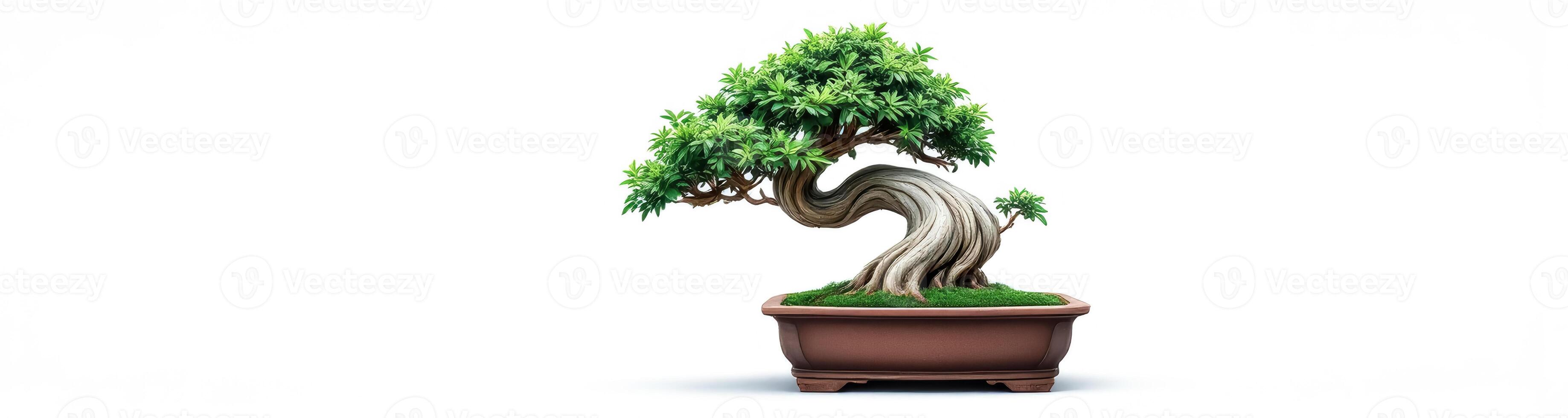 vibrant green bonsai tree in a brown pot showcasing a uniquely curved trunk and detailed foliage photo
