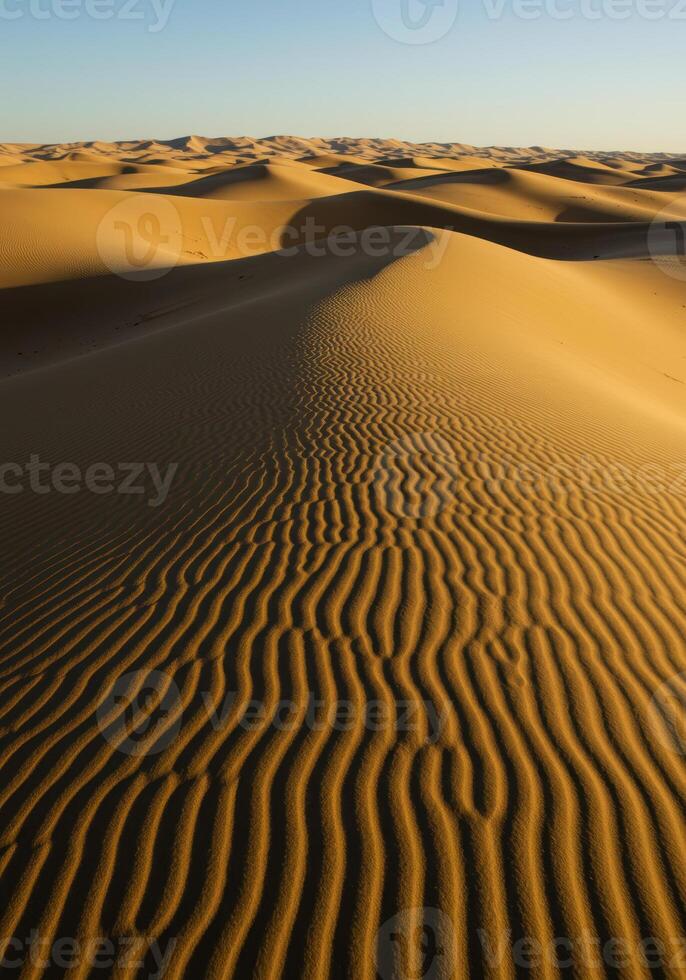 Sweeping sand dunes create mesmerizing patterns in this vast, sun-drenched desert. photo