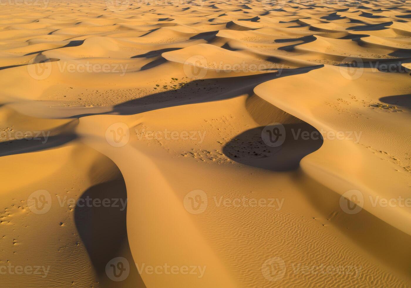 Waves of sand create a mesmerizing desert scene under the sun's warm embrace. photo