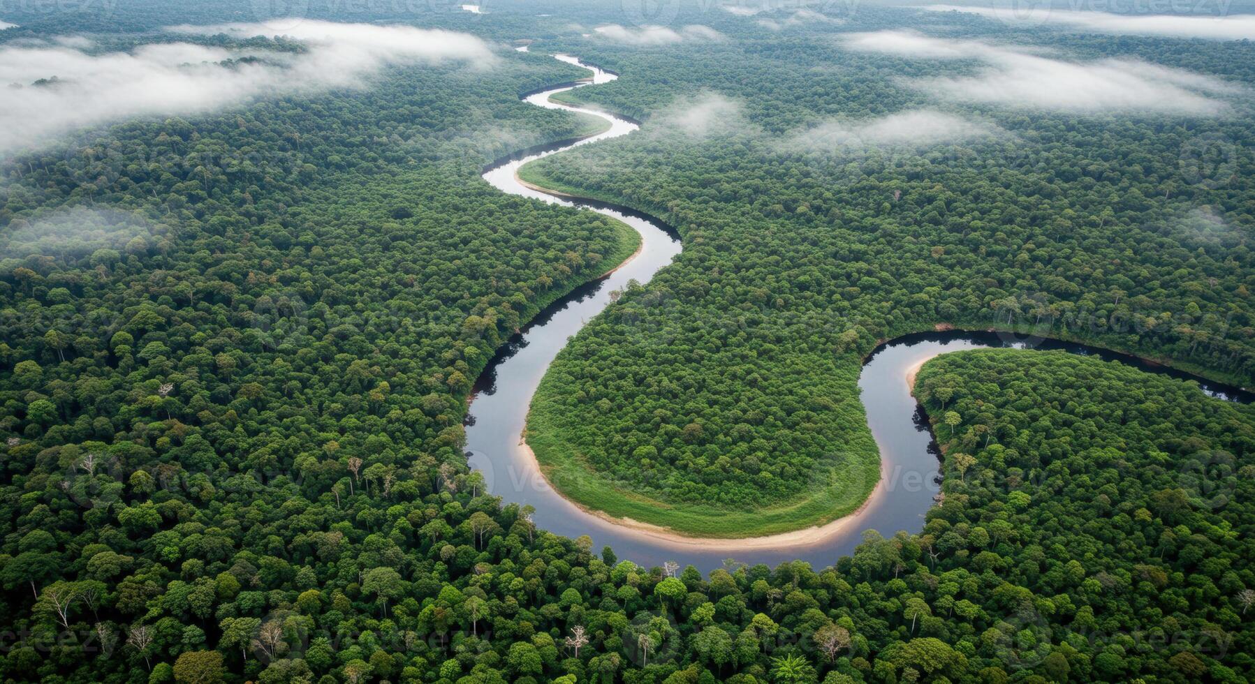 A winding river snakes through a vibrant rainforest, seen from high above, showcasing a thriving ecosystem. photo