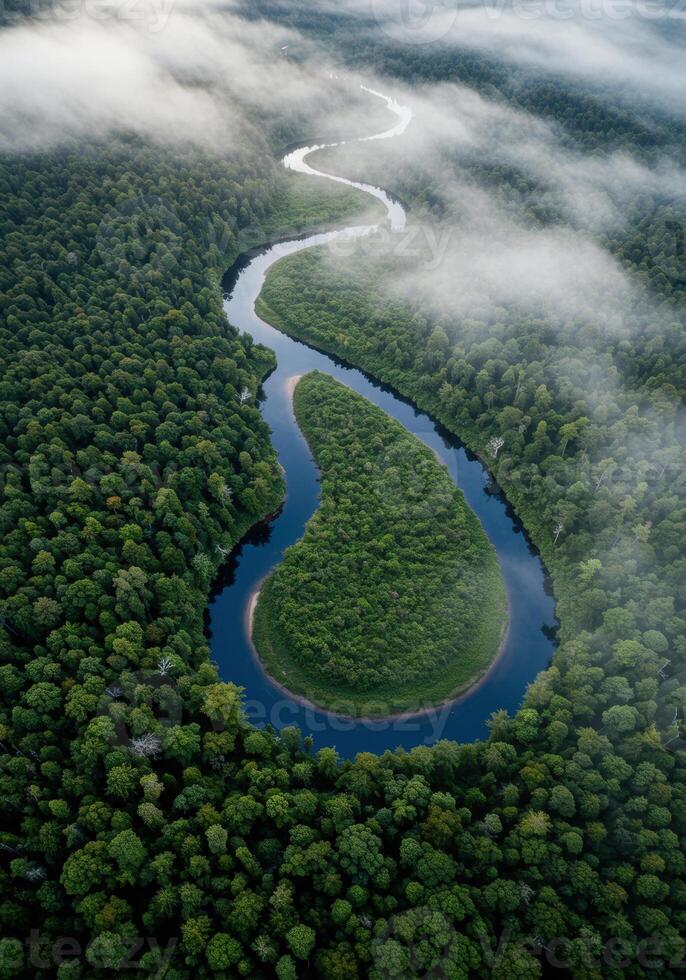 A serene river meanders through a dense green forest under a blanket of soft fog. photo