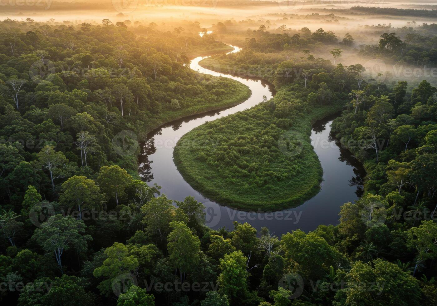 A stunning aerial view captures a tranquil river winding through a lush, green rainforest. photo