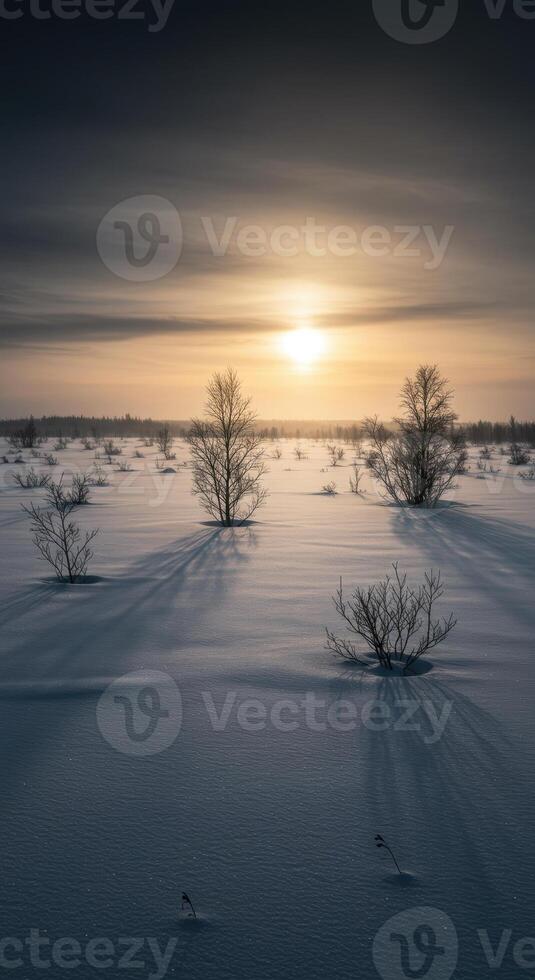 A serene winter scene with a setting sun casting long shadows across a snowy field. photo