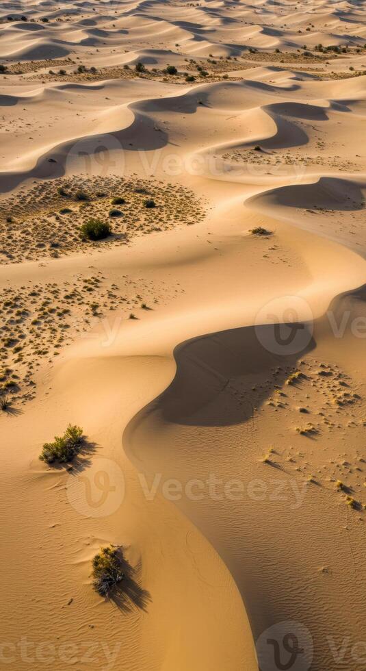 An aerial view of majestic sand dunes creating stunning patterns in the desert. photo
