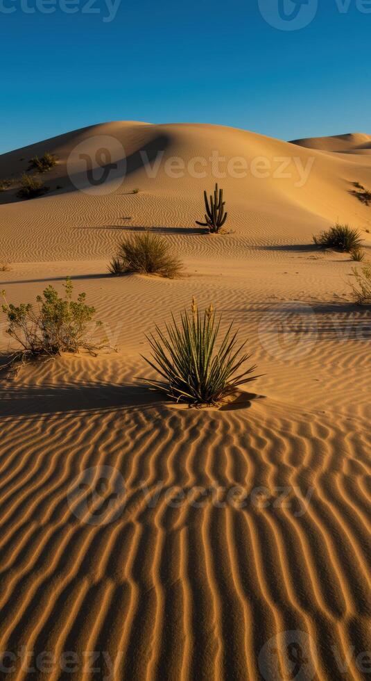 Desert sand dunes with unique patterns, some vegetation and a clear blue sky backdrop. photo