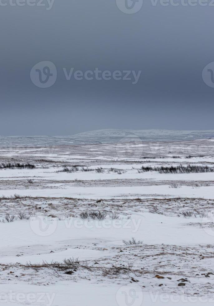 A serene, wide shot of a snowy landscape under a clouded, gray sky, depicting a cold winter. photo