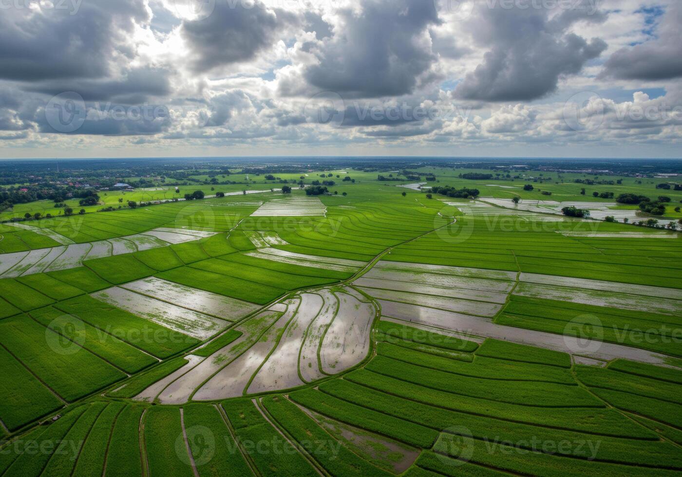 Overhead view of extensive rice fields and their patterns under a cloudy sky. photo