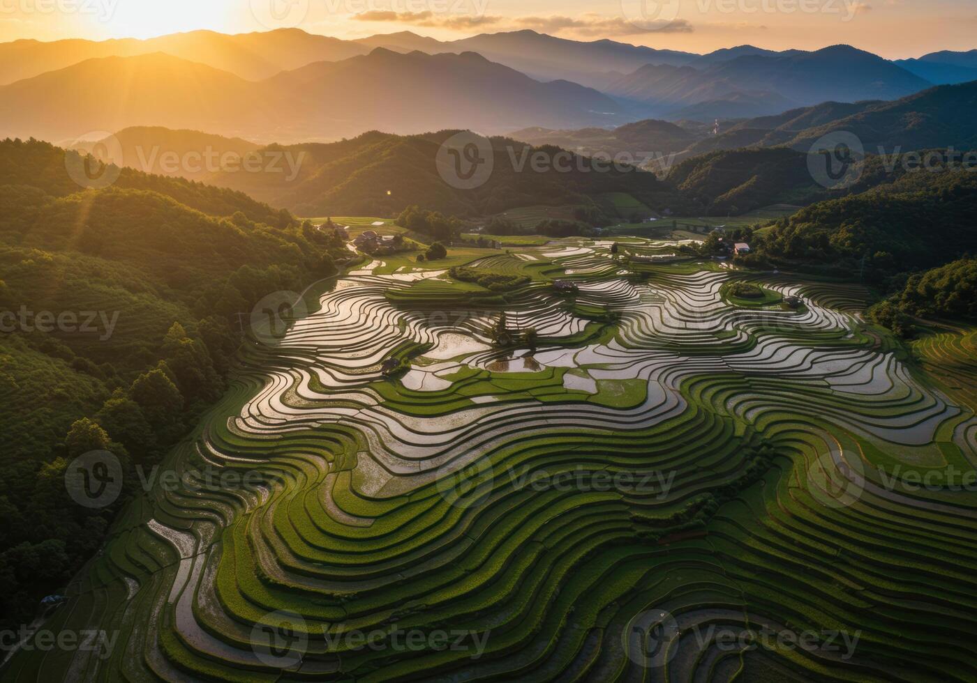 An elevated view reveals vibrant rice terraces illuminated by the setting sun, creating a mesmerizing landscape. photo