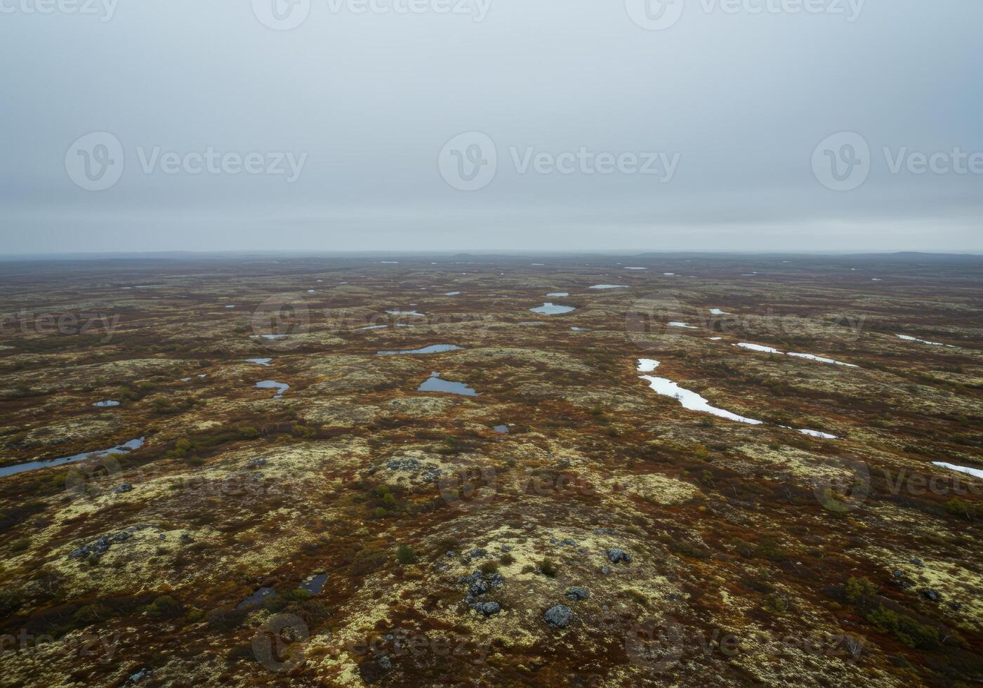 A vast wetland stretches under a cloudy sky, creating a serene and natural scene. photo