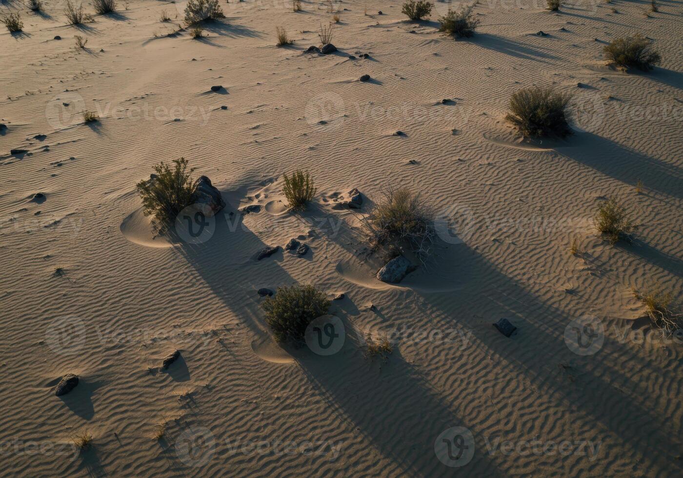 A stunning aerial view captures the undulating patterns of desert sand and sparse vegetation. photo