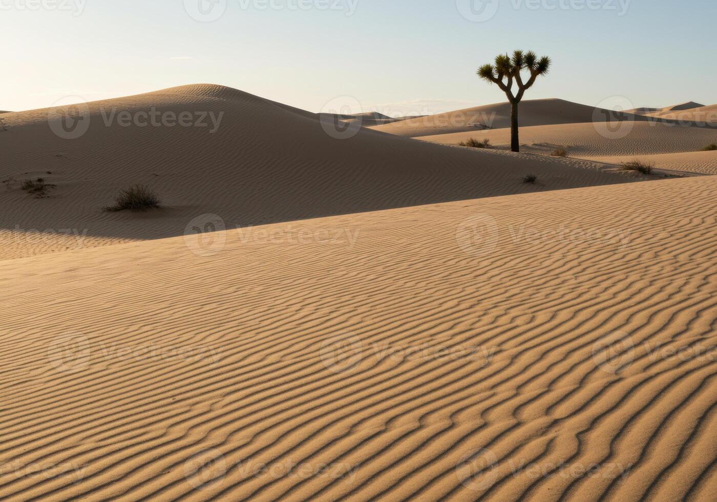 Dramatic desert landscape with rolling sand dunes under a clear sky and a single Joshua tree. photo