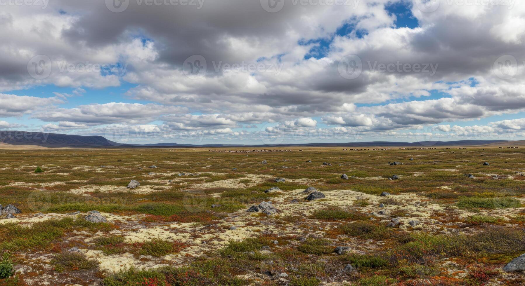 A breathtaking view of a large, open tundra under a cloudy sky during the daytime photo