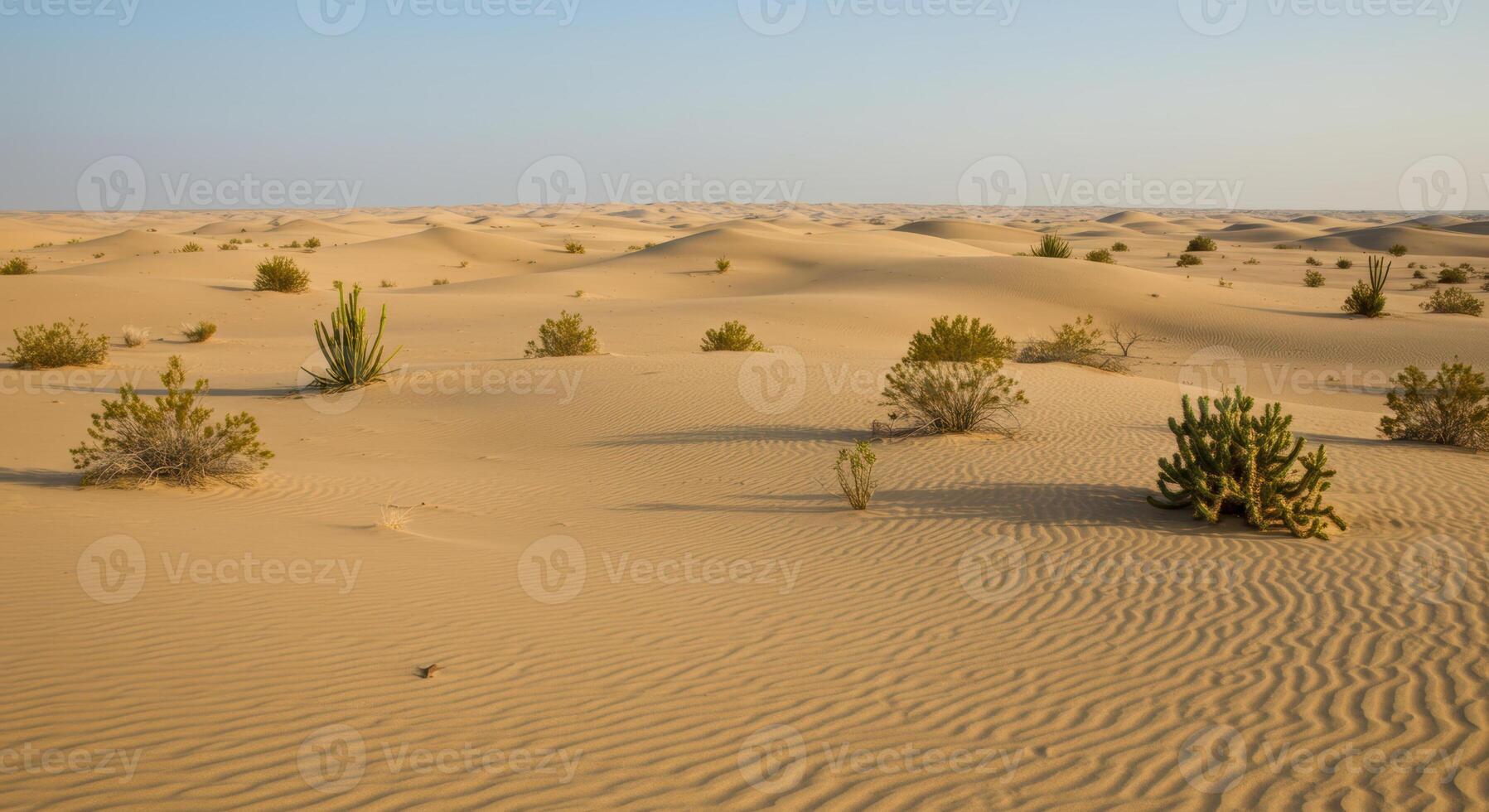 A serene desert scene shows rolling sand dunes with scattered plants under a clear sky. photo