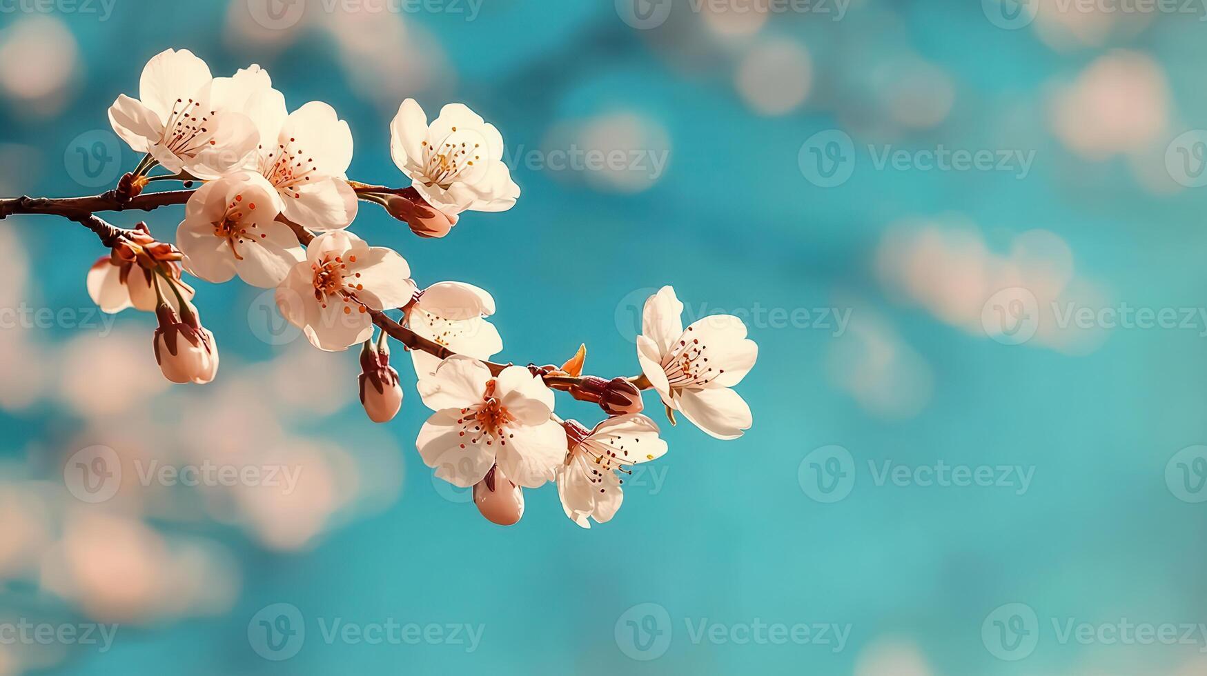 Delicate Spring Blossoms on a Branch Against a Vibrant Teal Sky Perfect for springtime themes and nature imagery photo