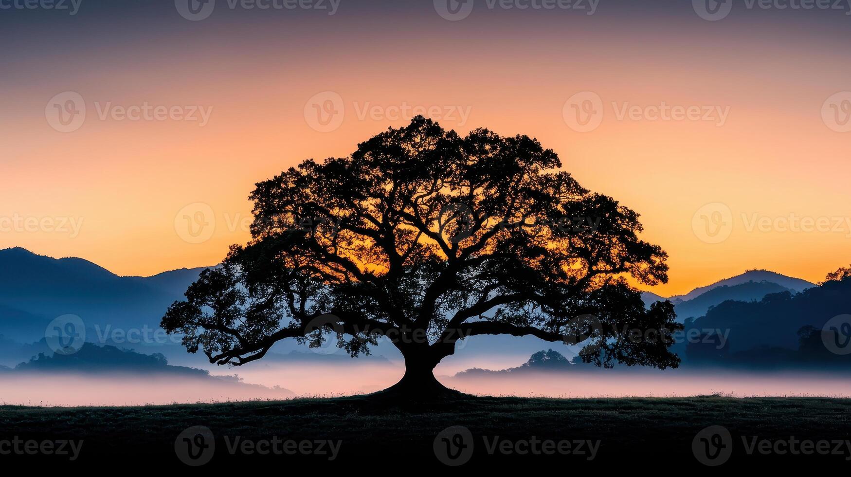 Majestic Oak Tree Silhouette at Sunrise Over Misty Mountains a Serene Landscape Photograph photo