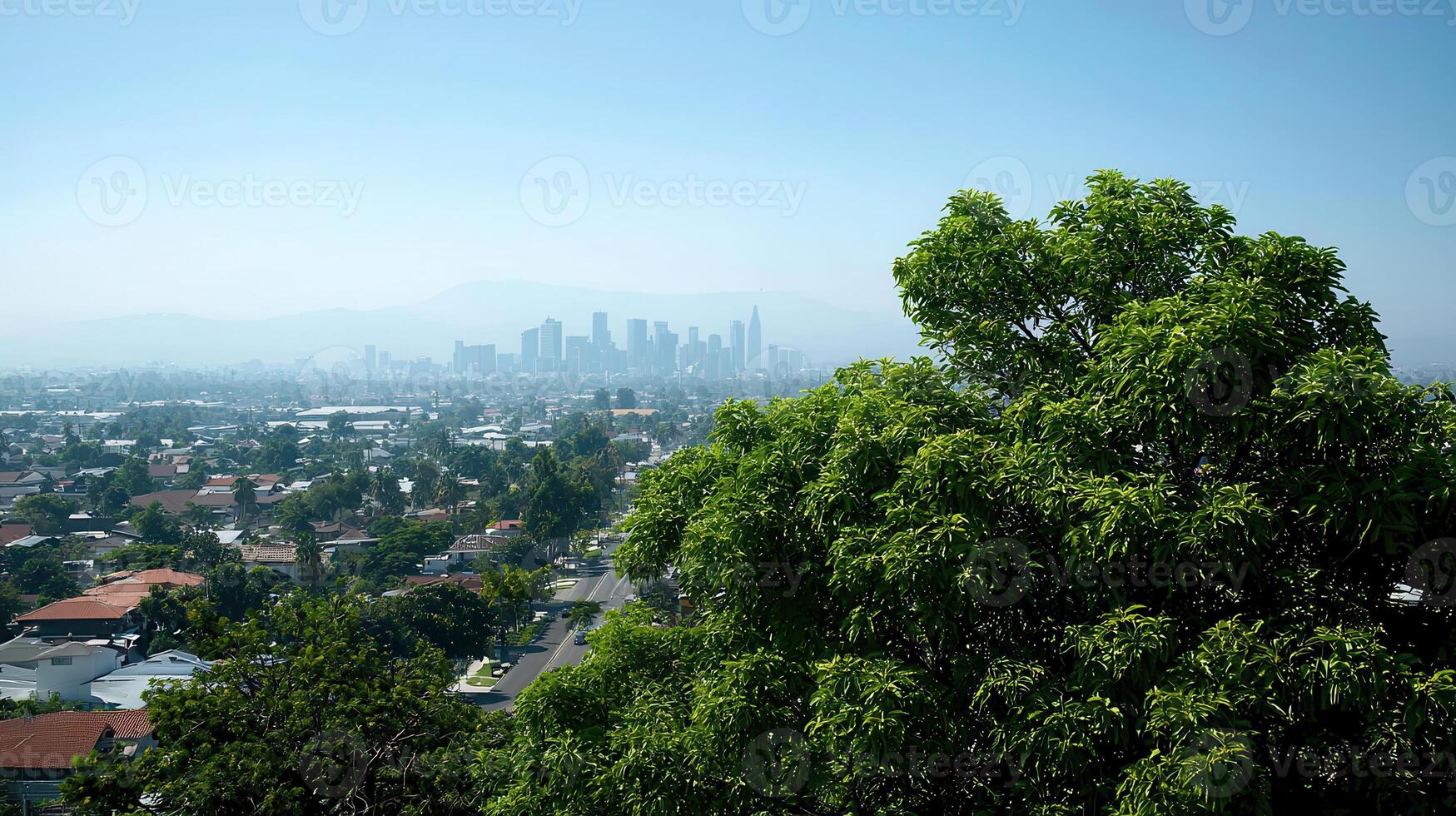 Scenic Cityscape View Suburban Homes and Lush Greenery with Downtown Skyline in the Distance photo