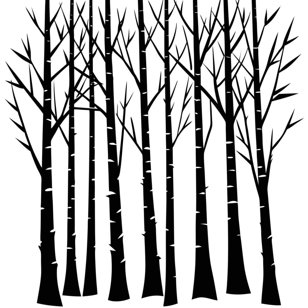 a birch grove vector