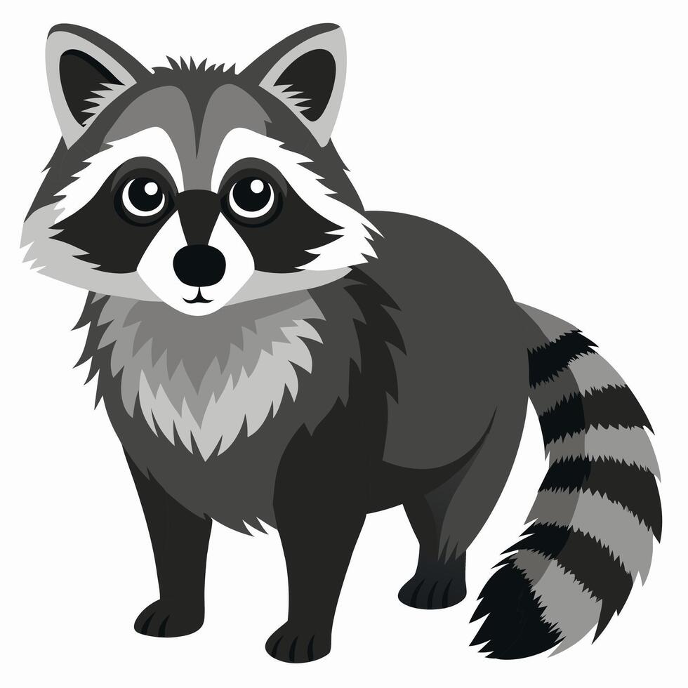 Realistic cute raccoon isolated on white background. Front view. Illustration vector
