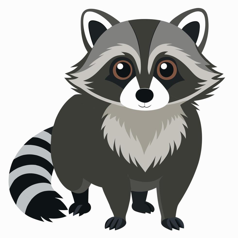 Cartoon cute raccoon isolated on white background. Front view. Illustration. vector