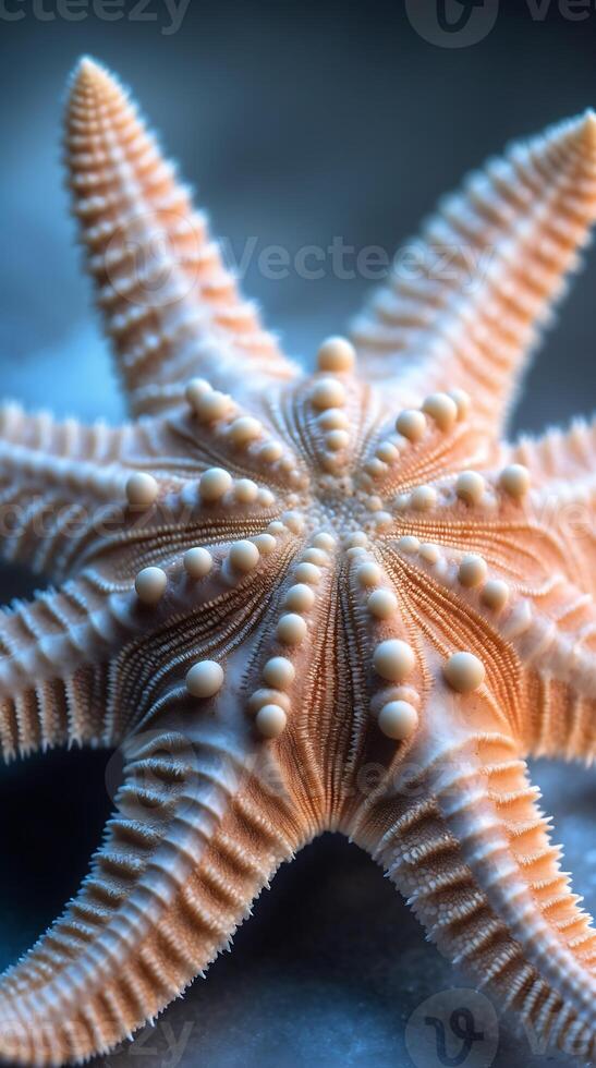 Intricate starfish resting on ocean floor showcasing detailed textures and patterns photo