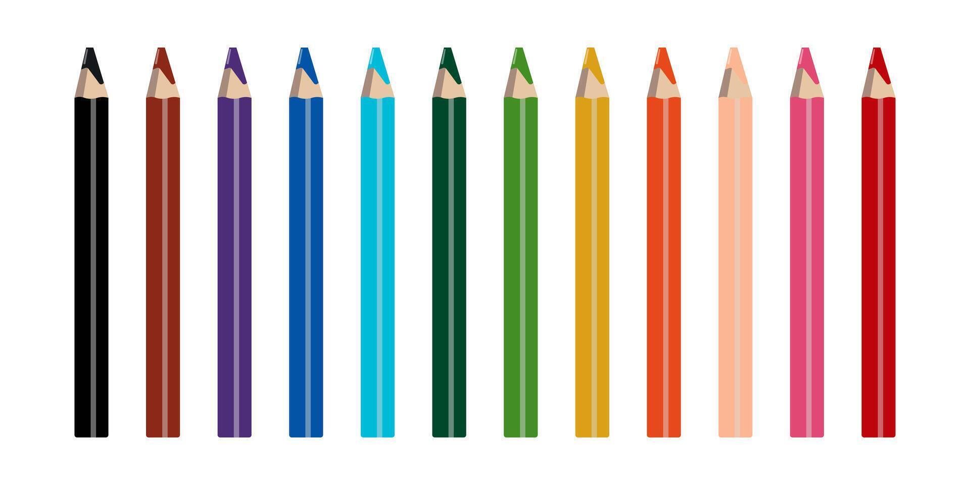 Rainbow color pencils collection isolated on white background vector