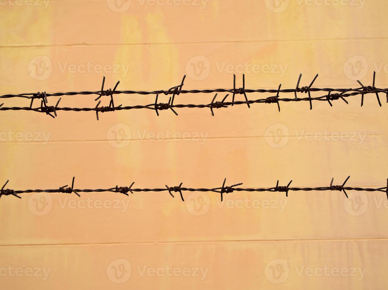 The Old and rusty barbed wire on the fence photo