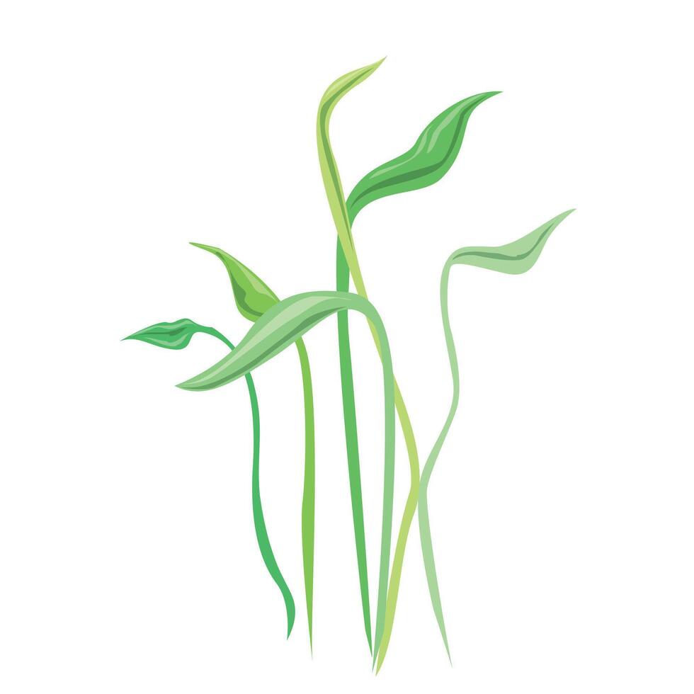 Green tree with leaves art vector