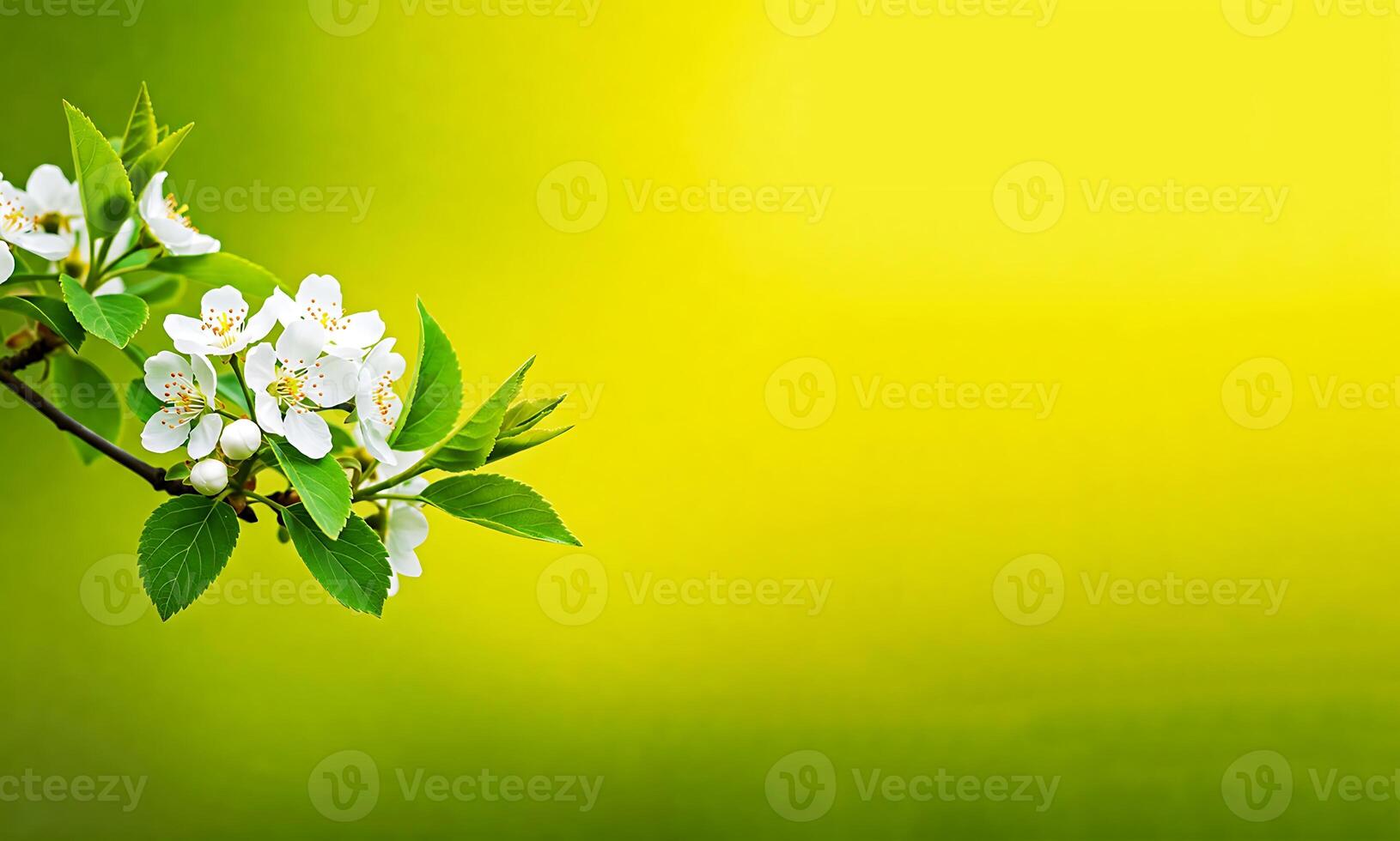 Vibrant Spring Blaossom Branch on Lush Green Background photo