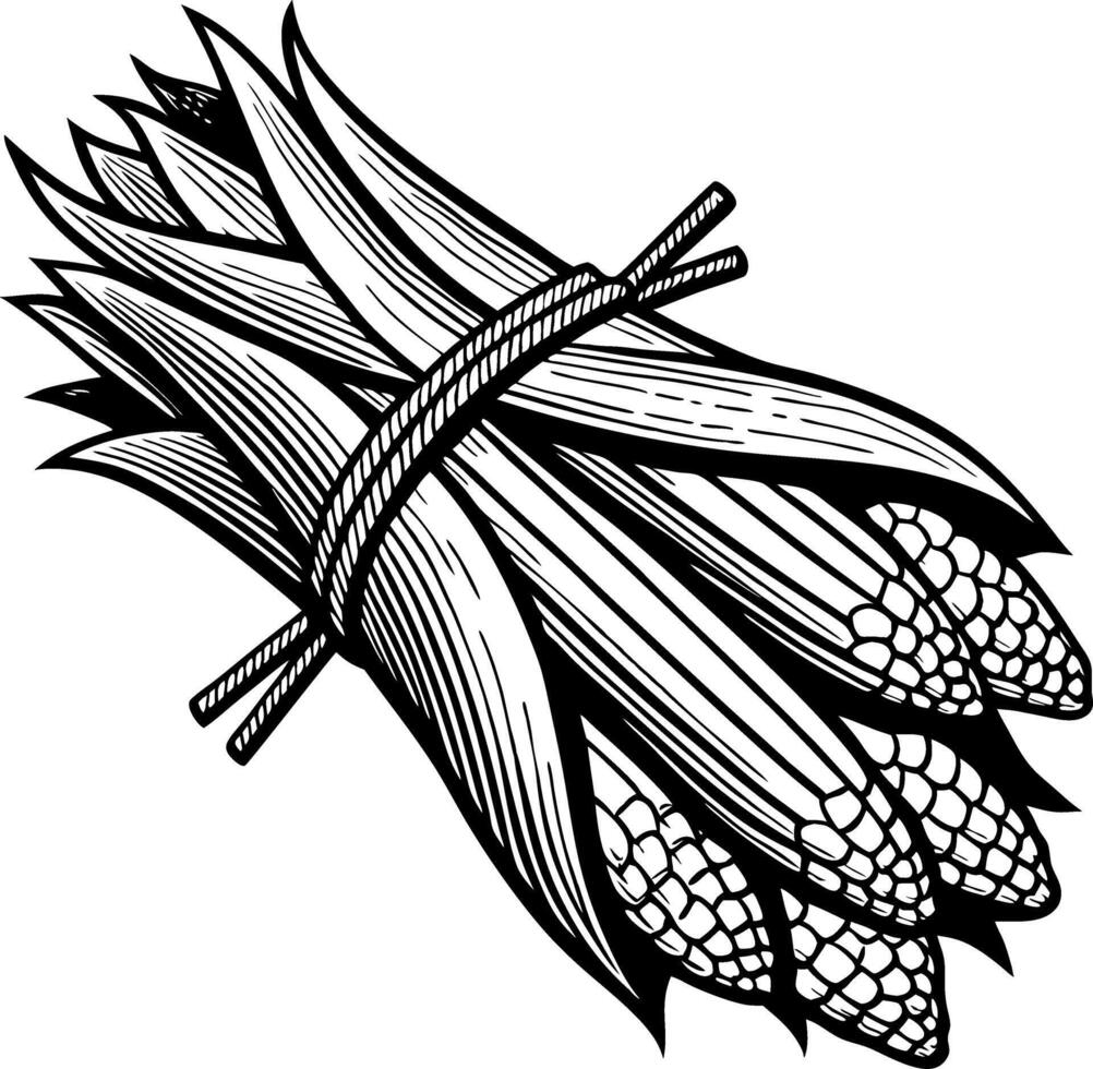 Bundle of Freshly Harvested Corn with Natural Green Leaves for Organic Farming Illustrations vector
