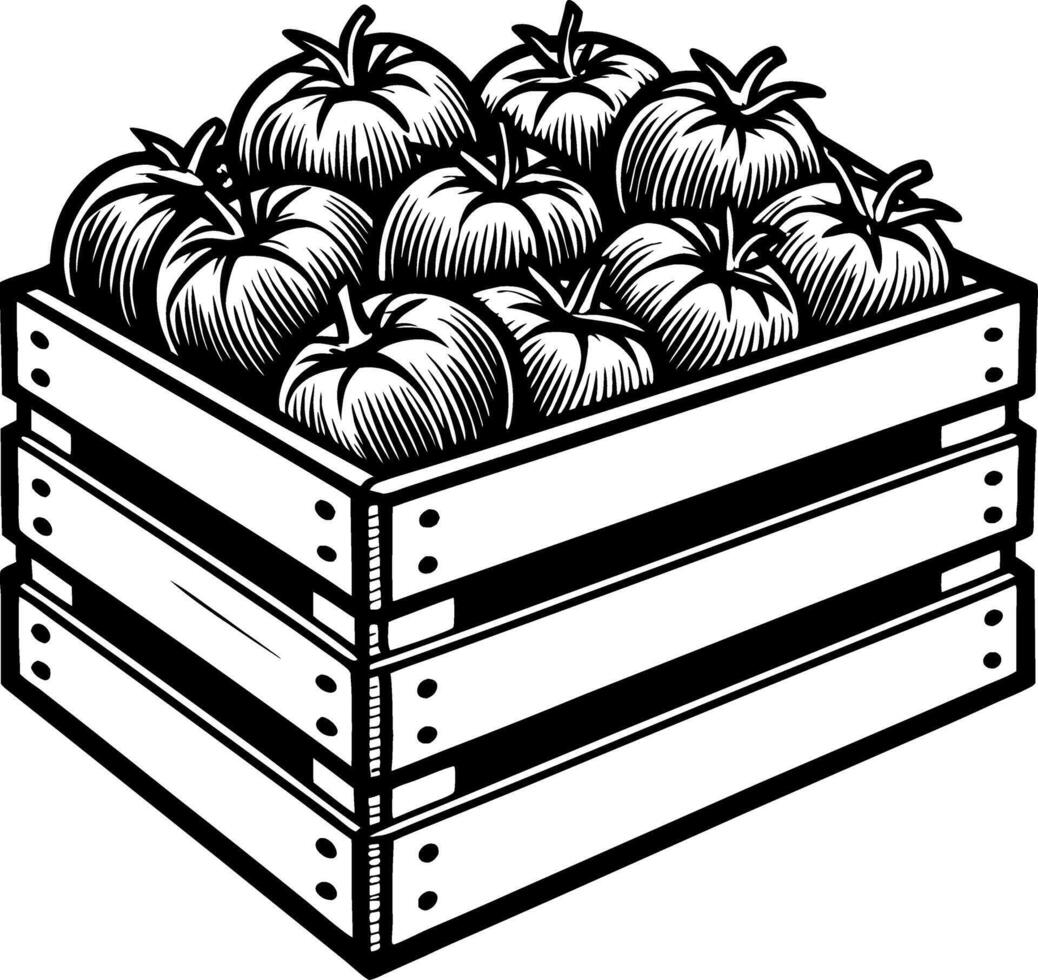 Fresh Tomatoes in Wooden Crate Hand-Drawn Vintage Style Illustration for Kitchen Decor vector