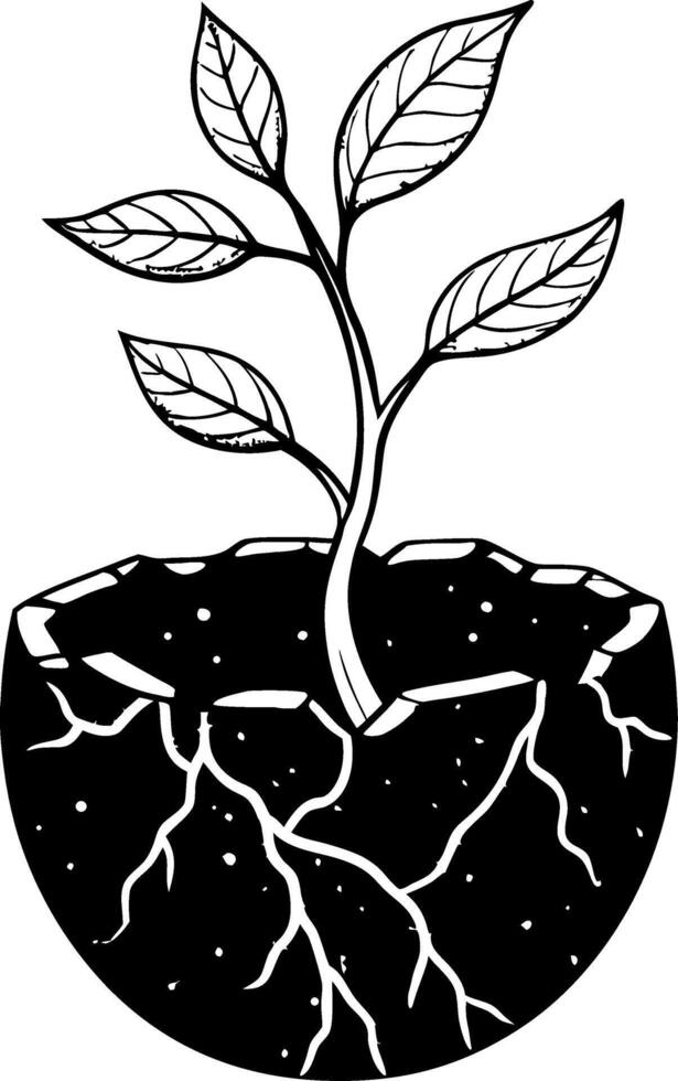 Growing Plant Emerges from Cracked Soil with Roots Illustration for Nature Themes vector