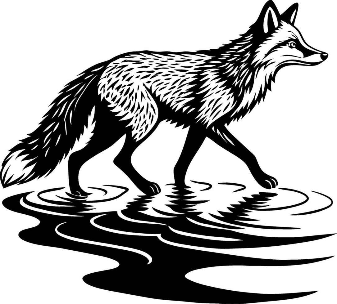 Elegant Fox Walking Through Water with Reflections in a Nature Inspired Design vector