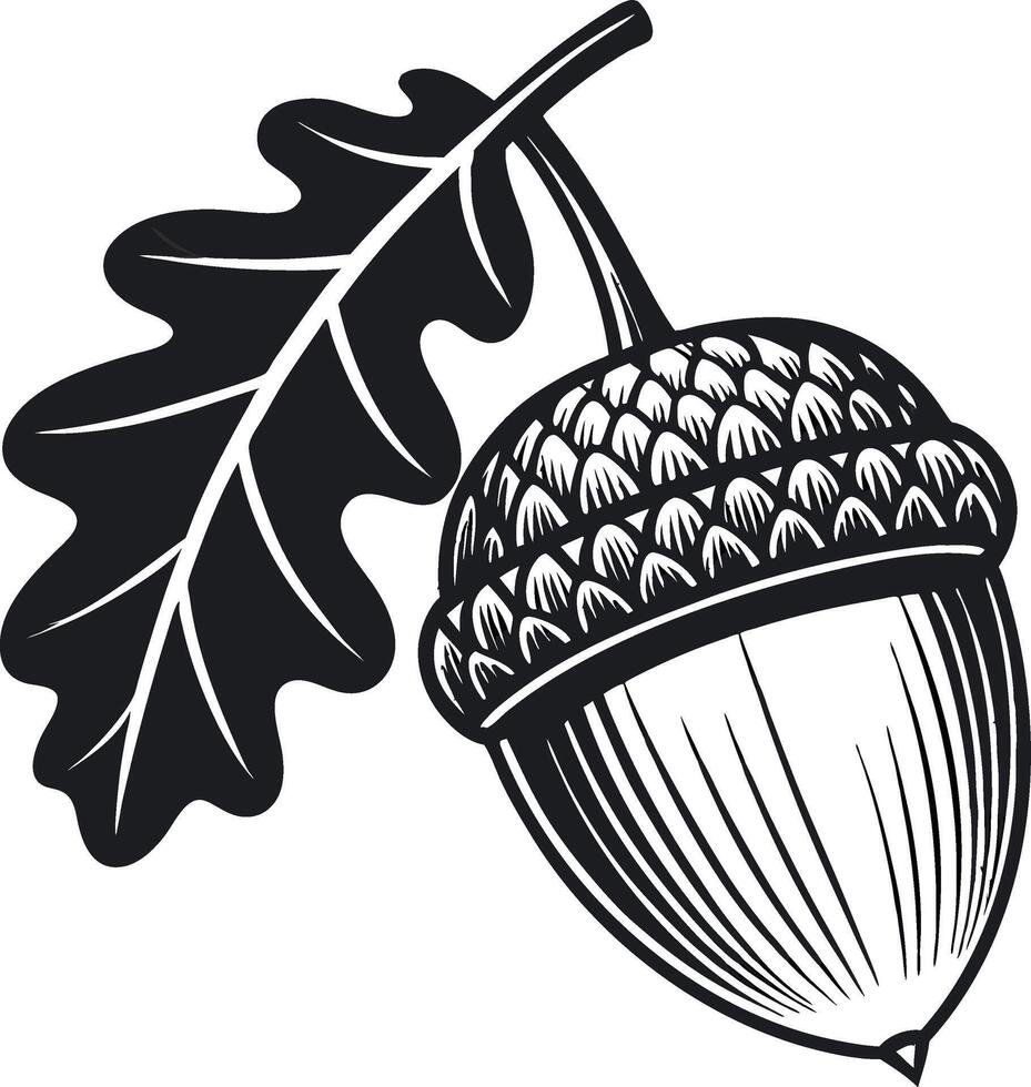 Detailed Acorn with Leaf Illustration Ideal for Nature Inspired Tattoo and Coloring Book Designs vector
