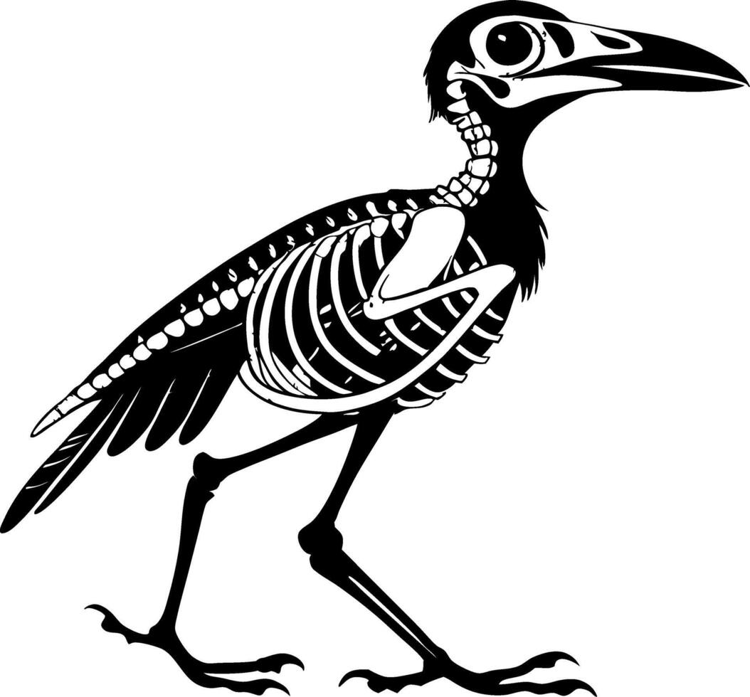 Detailed Bird Skeleton Illustration for Educational and Artistic Use vector
